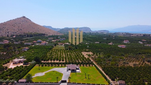 Τίρυνθα, Νέα Τίρυνθα (Αργολίδα), Μιδέα