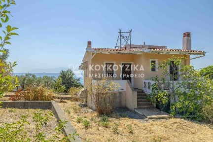 Μονοκατοικία, 110τ. μ.