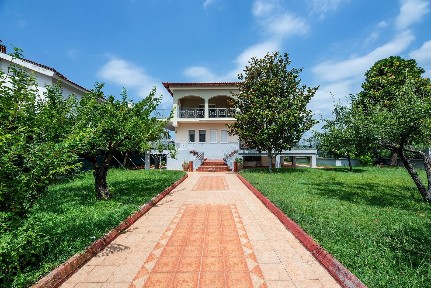Κέντρο, Βασιλικά (Θεσσαλονίκη - Περιφ/κοί δήμοι)