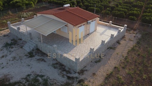 Κέντρο, Ασίνη (Αργολίδα)