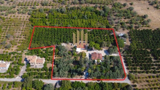 Επάνω Επίδαυρος, Επίδαυρος (Αργολίδα), Άνω Επίδαυρος 21059