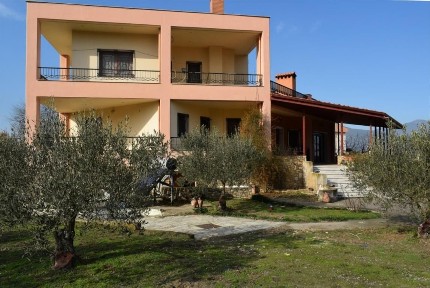 Σουρωτή, Βασιλικά (Θεσσαλονίκη - Περιφ/κοί δήμοι)