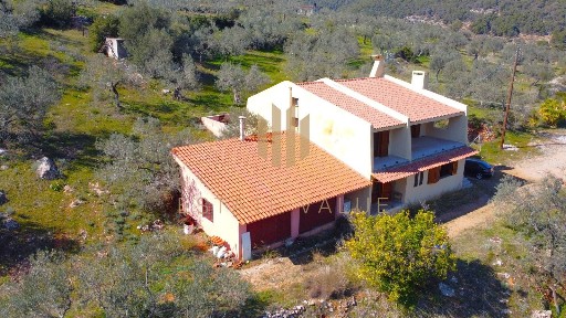 Αρχαία Επίδαυρος, Επίδαυρος (Αργολίδα), Κορίνθου-Επιδαύρου 21059