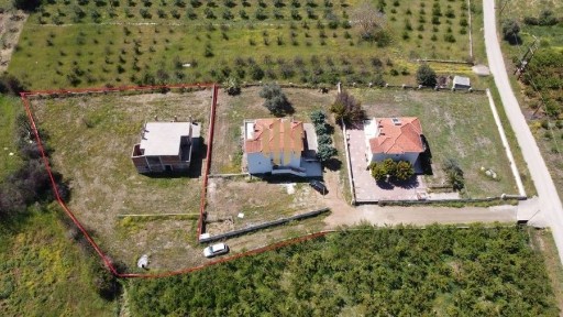 Επάνω Επίδαυρος, Επίδαυρος (Αργολίδα), Επιδαύρου-Ναυπλίου 21059