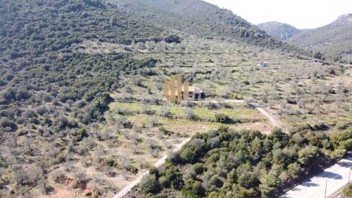 Μονοκατοικία, 300τ. μ.