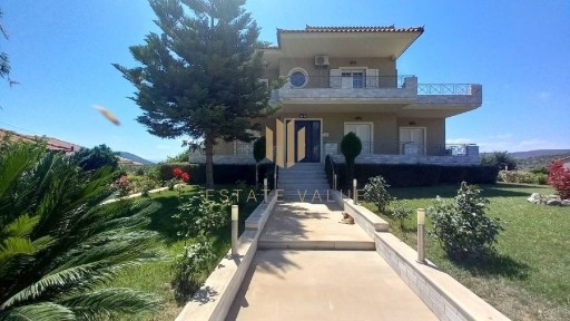 Μονοκατοικία, 300τ. μ.