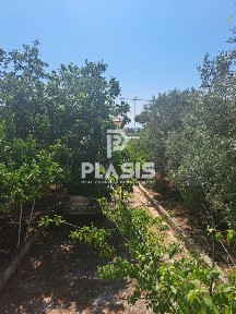 Βραυρώνα, Αρτέμιδα (Λούτσα) (Αθήνα - Ανατολικά Προάστια)