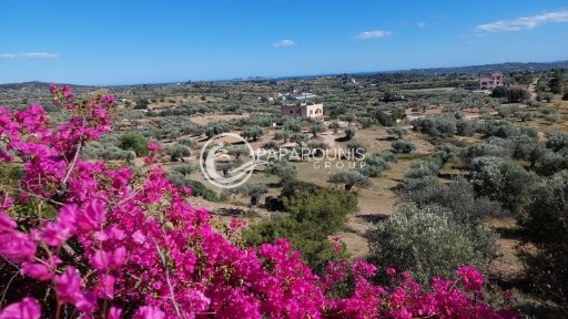 Κάπαρη, Κρανίδι (Αργολίδα)