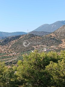 Μονοκατοικία, 245τ. μ.