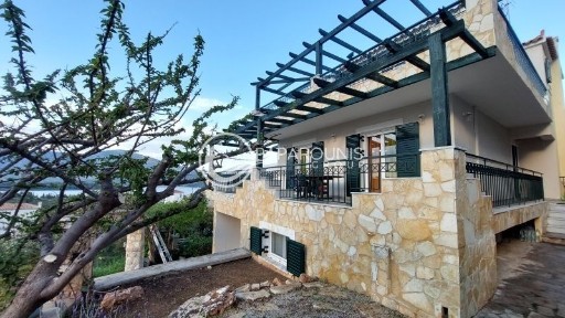 Μονοκατοικία, 250τ. μ.
