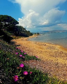 Ζούμπερι, Νέα Μάκρη (Αθήνα - Ανατολικά Προάστια), Χειμάρρας, 190 05 Νέα Μάκρη