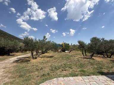 Μονοκατοικία, 380τ. μ.