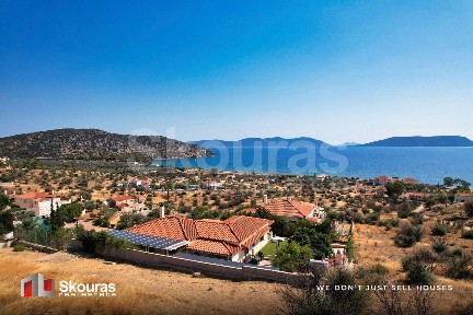 Ερμιόνη (Αργολίδα)