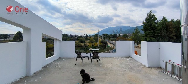 Μονοκατοικία, 220τ. μ.