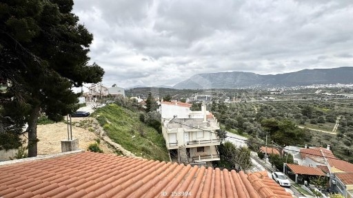 Αγία Τριάδα, Παιανία (Αθήνα - Ανατολικά Προάστια)
