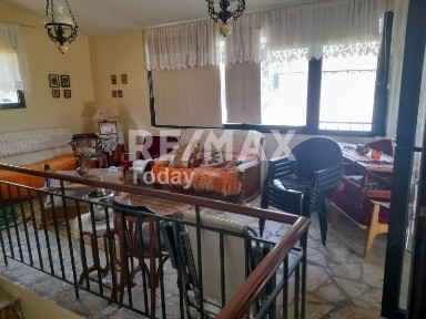 Λιβάδι, Βασιλικά (Θεσσαλονίκη - Περιφ/κοί δήμοι)