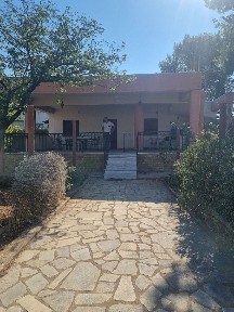 Κίτσι, Κορωπί (Αθήνα - Ανατολικά Προάστια), Τενέδου 19443