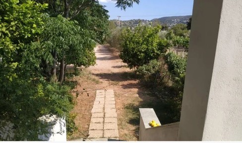 Αγία Μαρίνα, Κορωπί (Αθήνα - Ανατολικά Προάστια), Μυκόνου 19443