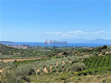 Κέντρο, Ασίνη (Αργολίδα), Ναύπλιο