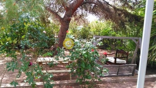 Κίτσι, Κορωπί (Αθήνα - Ανατολικά Προάστια)
