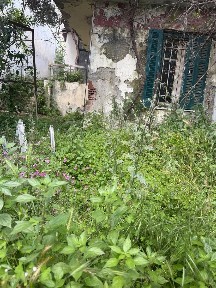 Μονοκατοικία, 100τ. μ.