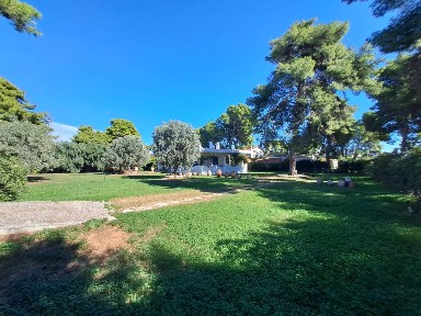Κέντρο, Νέα Μάκρη (Αθήνα - Ανατολικά Προάστια), Λεωφόρος Μαραθώνος 26, Νέα Μάκρη 19005