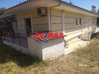 Κίτσι, Κορωπί (Αθήνα - Ανατολικά Προάστια)