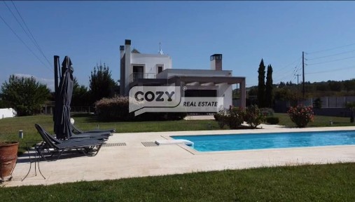 Νέο Ρύσιο, Θέρμη (Θεσσαλονίκη - Περιφ/κοί δήμοι)
