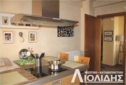 Μονοκατοικία, 300τ. μ.