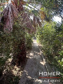 Κέντρο, Μαραθώνας (Αθήνα - Ανατολικά Προάστια)