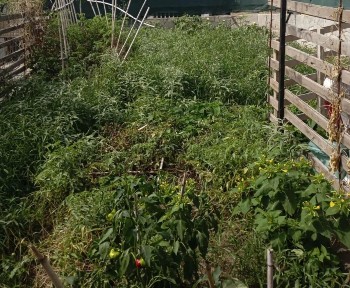 Κέντρο, Μηχανιώνα (Θεσσαλονίκη - Περιφ/κοί δήμοι), Θεσσαλονίκης, Θερμαϊκός 57004