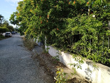 Κέντρο, Νέα Μάκρη (Αθήνα - Ανατολικά Προάστια)