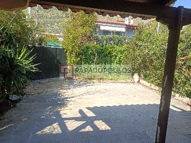 Κέντρο, Νέα Μάκρη (Αθήνα - Ανατολικά Προάστια)