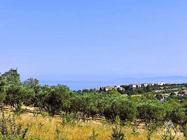 Νέοι Επιβάτες, Θερμαϊκός (Θεσσαλονίκη - Περιφ/κοί δήμοι)