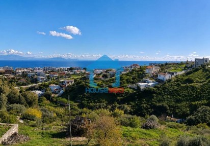 Μάτι, Νέα Μάκρη (Αθήνα - Ανατολικά Προάστια)