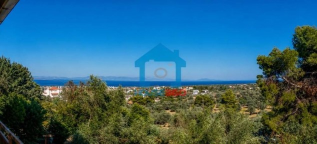 Κέντρο, Νέα Μάκρη (Αθήνα - Ανατολικά Προάστια)