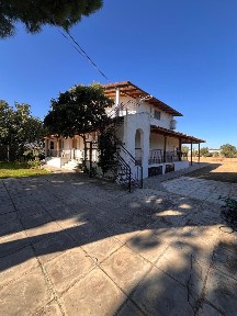 Άγιος Παντελεήμονας, Μαραθώνας (Αθήνα - Ανατολικά Προάστια)