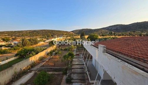 Κέντρο, Κορωπί (Αθήνα - Ανατολικά Προάστια)