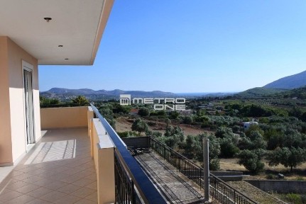Κέντρο, Κορωπί (Αθήνα - Ανατολικά Προάστια)