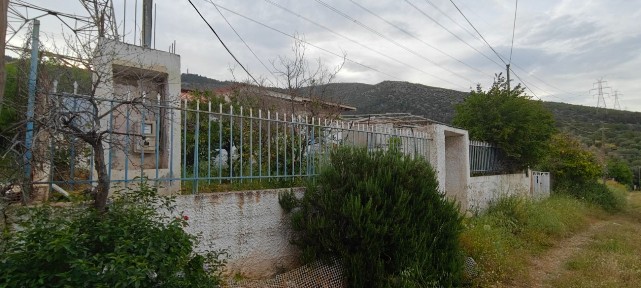 Αγία Τριάδα, Παιανία (Αθήνα - Ανατολικά Προάστια), Δήλου 16, Παιανία 19002