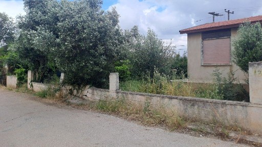 Γιούργια, Αρτέμιδα (Λούτσα) (Αθήνα - Ανατολικά Προάστια)