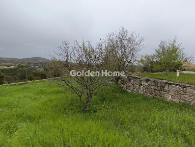 Αγία Παρασκευή, Βαρνάβας (Αθήνα - Ανατολικά Προάστια), Βλιουτα 6, Αγ. Παρασκευή 190 14, Ελλάδα