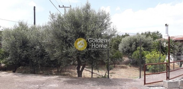 Κορωπί (Αθήνα - Ανατολικά Προάστια), Αγ. Πάντων 27, Κρωπία 194 00, Ελλάδα