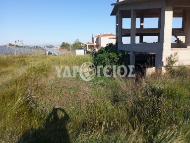 Κάτω Χαρβάτι, Παλλήνη (Αθήνα - Ανατολικά Προάστια), Αμαζόνος, 153 51, Παλλήνη