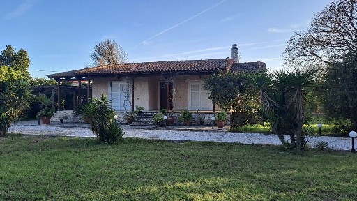 Κέντρο, Μαραθώνας (Αθήνα - Ανατολικά Προάστια)