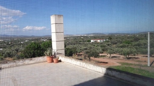 Κέντρο, Κορωπί (Αθήνα - Ανατολικά Προάστια)