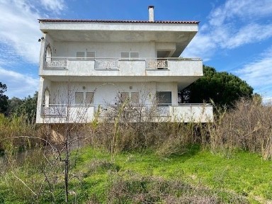 Άγιος Παντελεήμονας, Μαραθώνας (Αθήνα - Ανατολικά Προάστια)