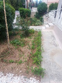 Κέντρο, Παλλήνη (Αθήνα - Ανατολικά Προάστια)