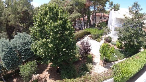Φασιδέρη, Άνοιξη (Αθήνα - Βόρεια Προάστια)
