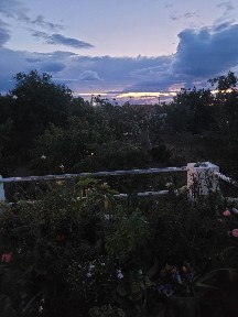 Κυψέλη, Αίγινα (Νησιά Αργοσαρωνικού), Κυψέλη 180 10 Αίγινα